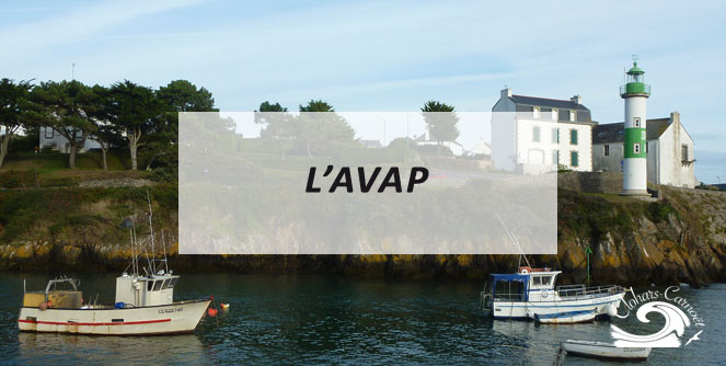 rapport conclusions avap 2013