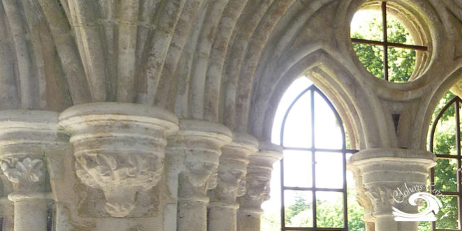 visuel_st_maurice_detail visuel_st_maurice_detail