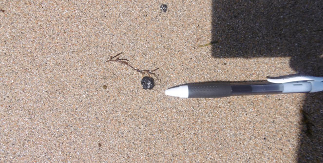 pollution_plage_clohars