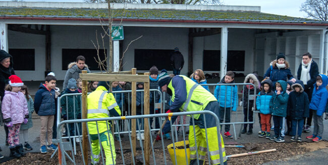 ecole-saint-maudet-vegetalisation