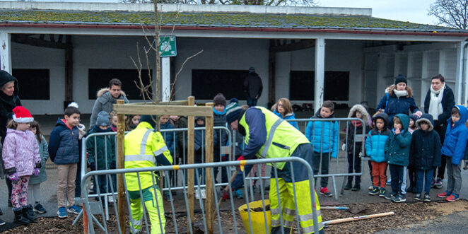 ecole-saint-maudet-vegetalisation