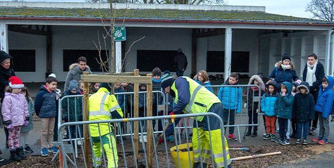 ecole-saint-maudet-vegetalisation