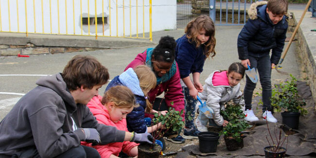 plantation-st-maudet-mars