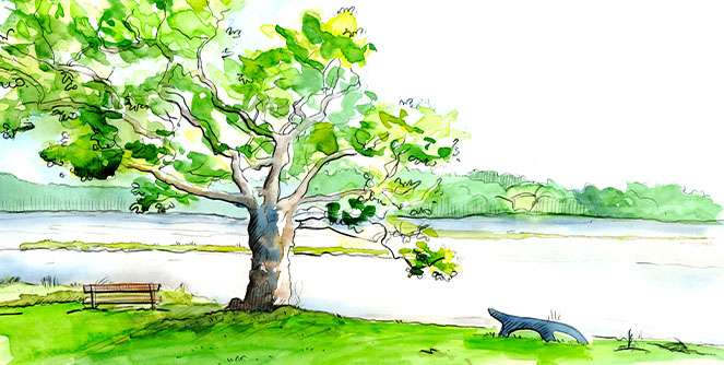 sous-mon-arbre-actu