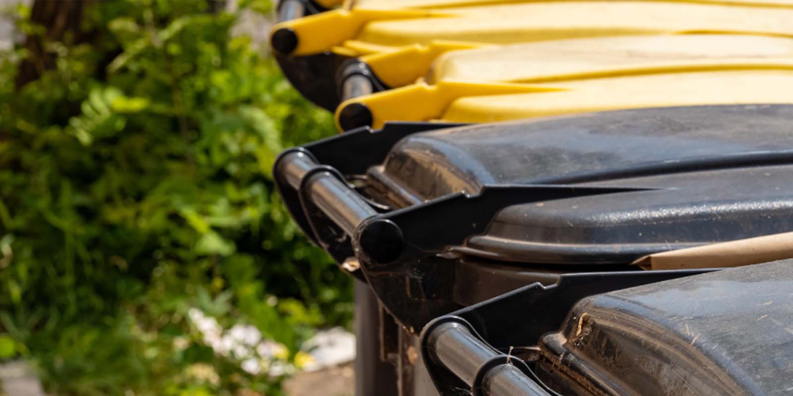 Déchets