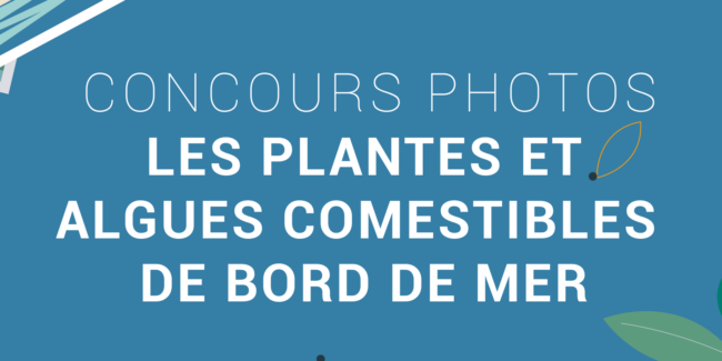 concours photos