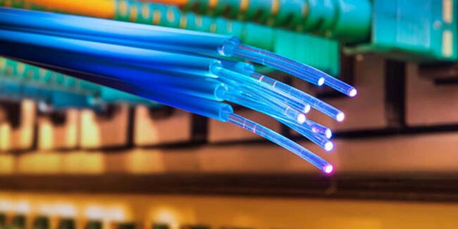 fibre