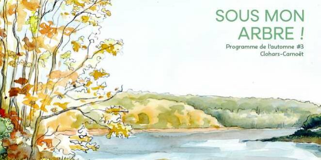 sous-mon-arbre-automne